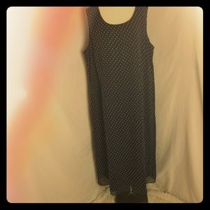 Plus size Dress Barn Navy and White dress